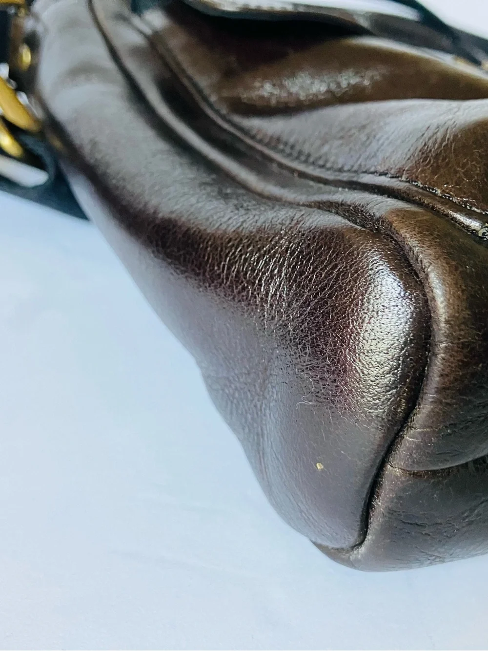 Fossil buckner brown